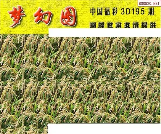 25195期: 3D蝴蝶世家蝴蝶彩图