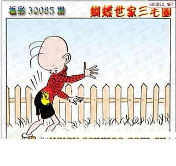 26085期: 3D蝴蝶世家蝴蝶彩图