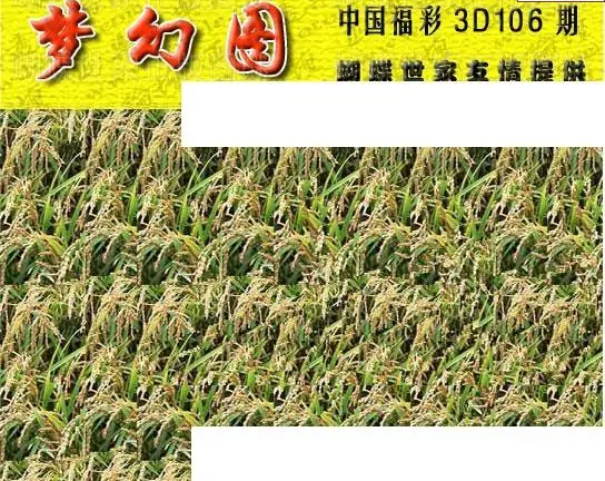 25106期: 3D蝴蝶世家蝴蝶彩图