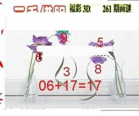 24262期: 三毛3D精品图谜