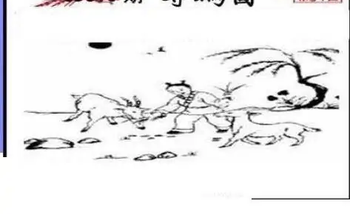 25315期: 三毛3D精品图谜