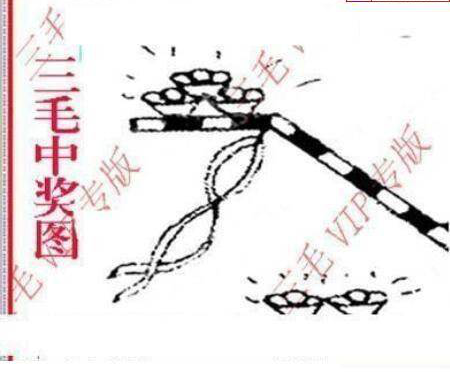 24343期: 三毛3D精品图谜