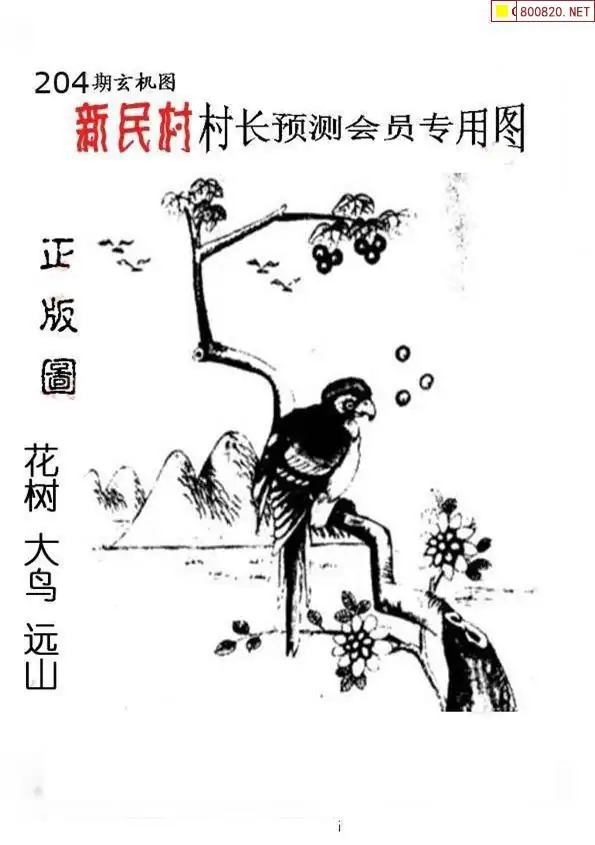 25204期: 老村长福彩3D天天图谜