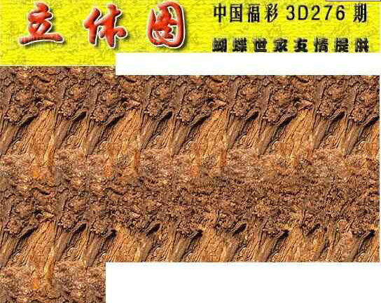 24276期: 3D蝴蝶世家蝴蝶彩图