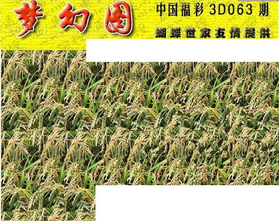 25063期: 3D蝴蝶世家蝴蝶彩图