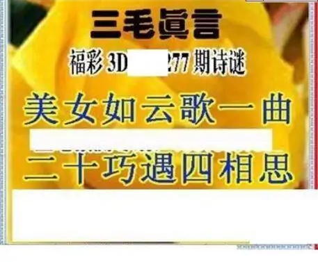 25277期: 三毛3D精品图谜