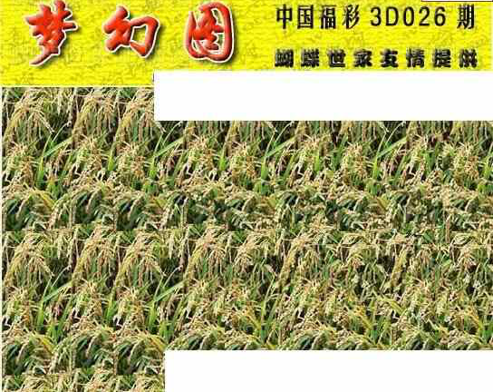 25026期: 3D蝴蝶世家蝴蝶彩图