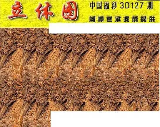 25127期: 3D蝴蝶世家蝴蝶彩图