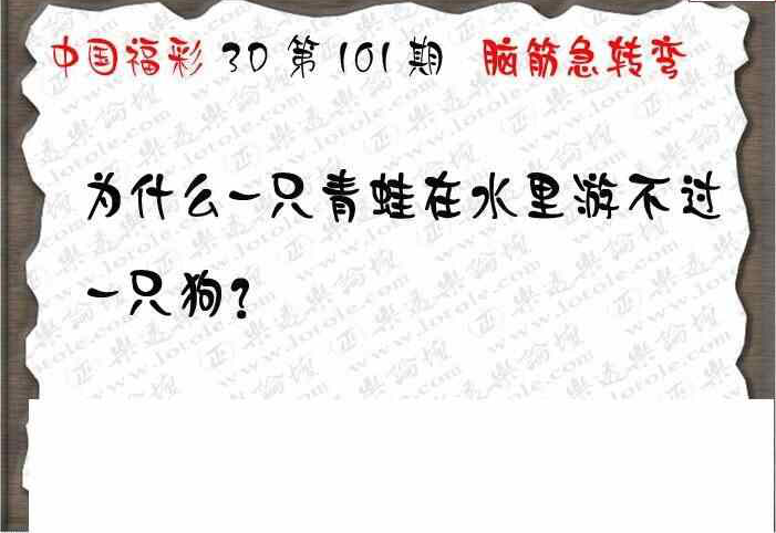 24101期: 3D蝴蝶世家蝴蝶彩图