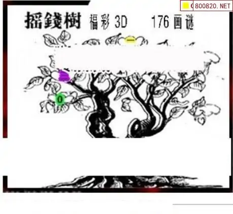 25176期: 三毛3D精品图谜