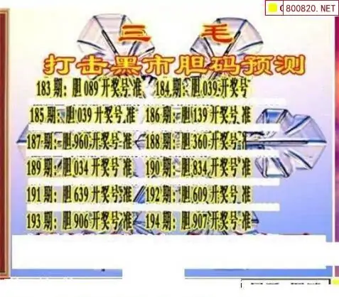 25194期: 三毛3D精品图谜