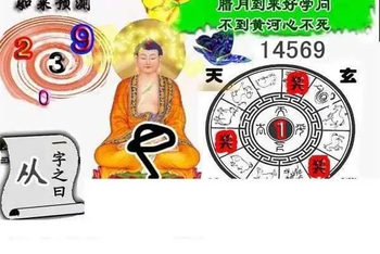 26086期: 白老3D杀码图版