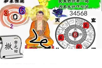 26050期: 白老3D杀码图版