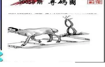 26058期: 三毛3D精品图谜