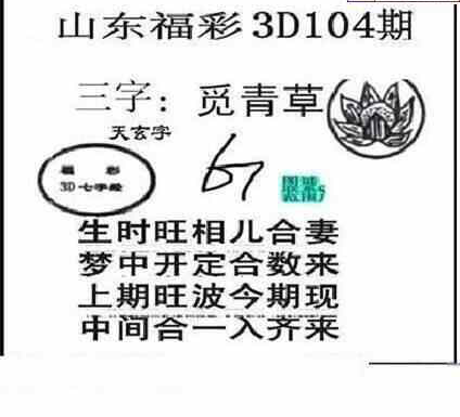 24104期: 三毛3D精品图谜