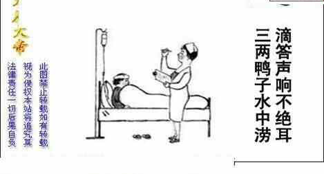 24202期: 白老3D杀码图版