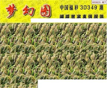 25349期: 3D蝴蝶世家蝴蝶彩图