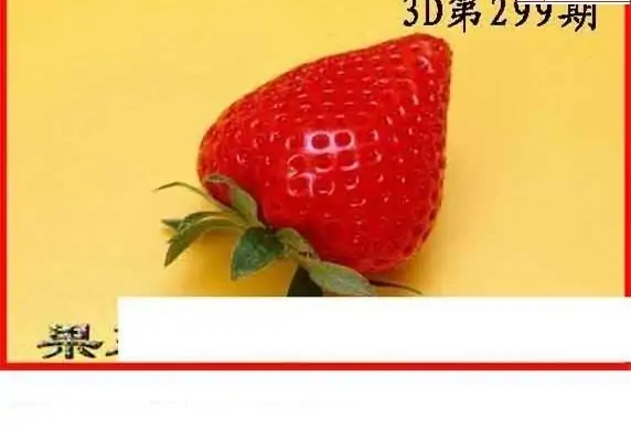 25299期: 白老3D杀码图版