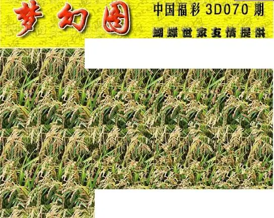 25070期: 3D蝴蝶世家蝴蝶彩图