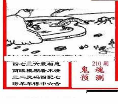 24210��: ��ë3D��Ʒͼ��