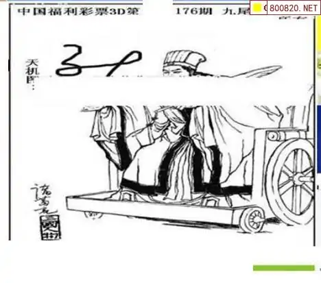 25176期: 三毛3D精品图谜