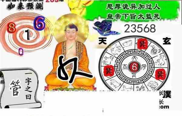 24203��: ����3Dɱ��ͼ��