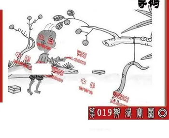 26019期: 福彩3D丹东全图分析
