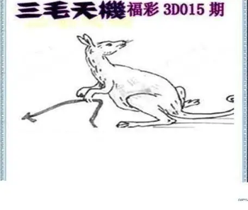 26015期: 三毛3D精品图谜