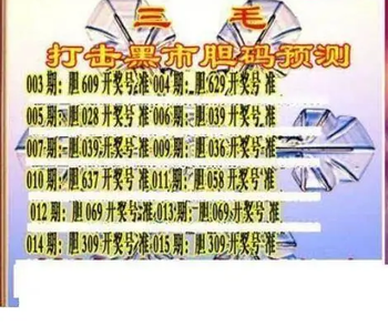 26015期: 三毛3D精品图谜