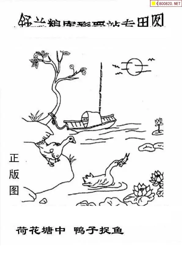 25205期: 老村长福彩3D天天图谜