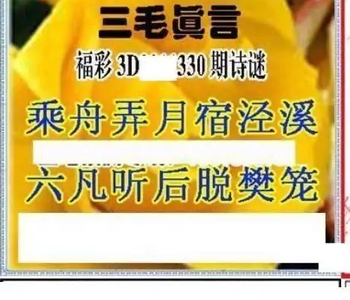 25330期: 三毛3D精品图谜