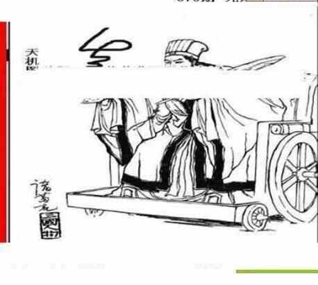 24070期: 三毛3D精品图谜