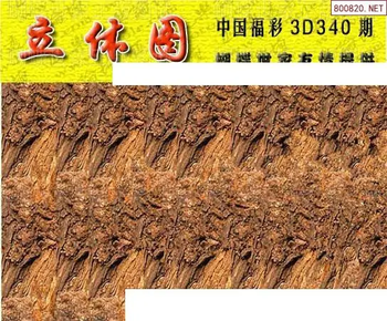 25340期: 3D蝴蝶世家蝴蝶彩图