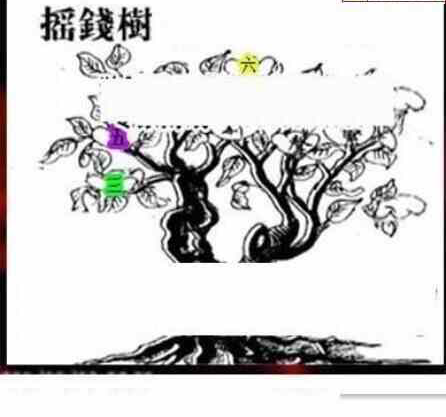 24070期: 三毛3D精品图谜