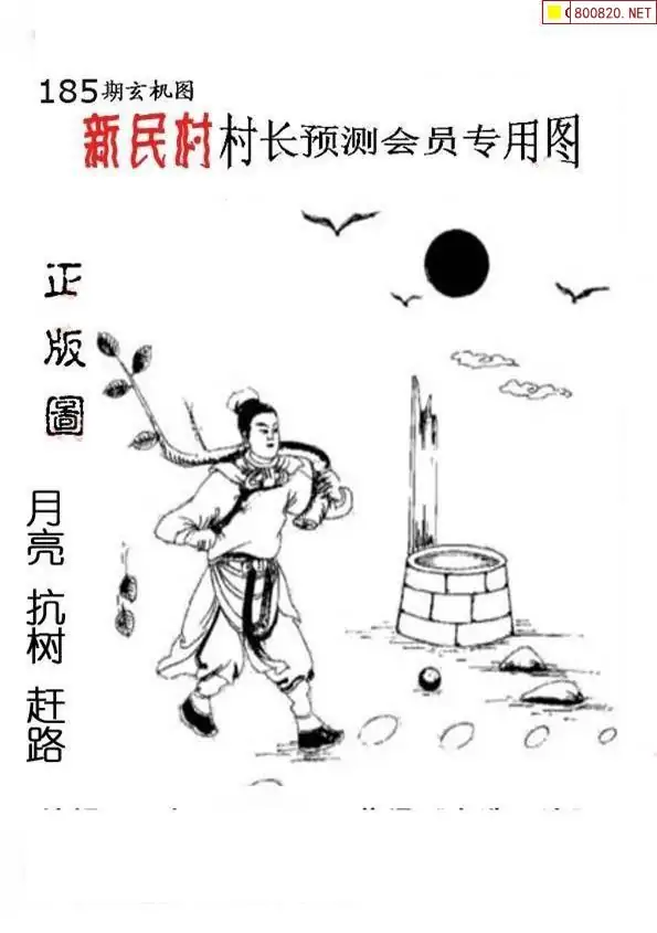 25185期: 老村长福彩3D天天图谜