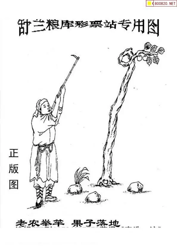 25185期: 老村长福彩3D天天图谜