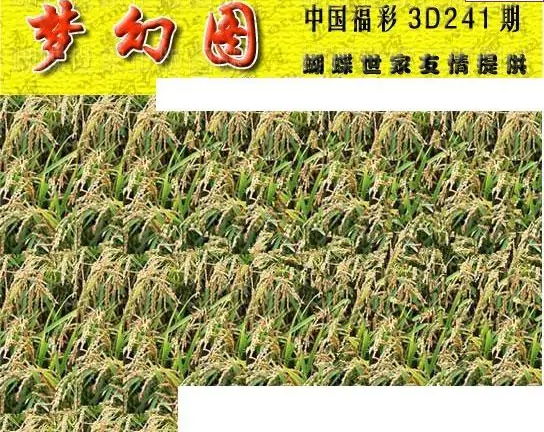 25241期: 3D蝴蝶世家蝴蝶彩图