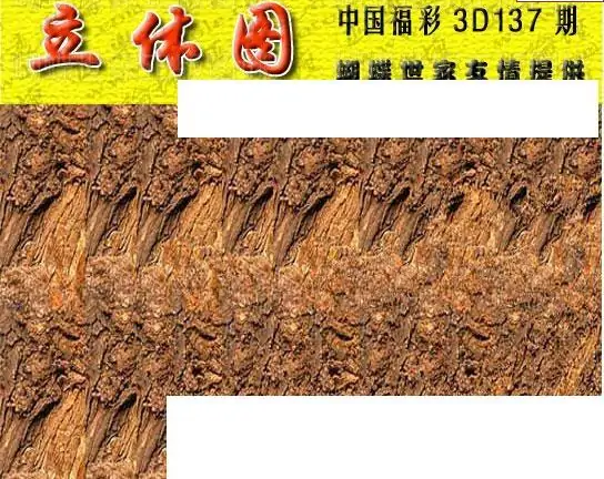 25137期: 3D蝴蝶世家蝴蝶彩图