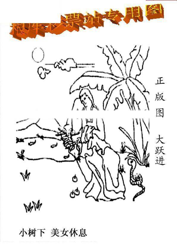 24345期: 老村长福彩3D天天图谜