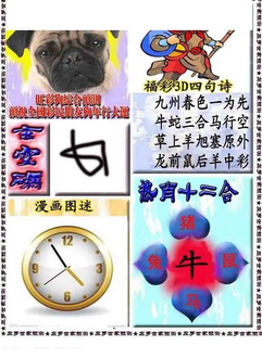 福彩3D 26065期佐罗图一掌经预测图