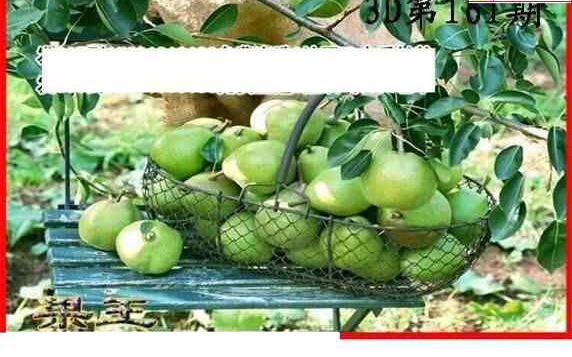 24161��: ����3Dɱ��ͼ��