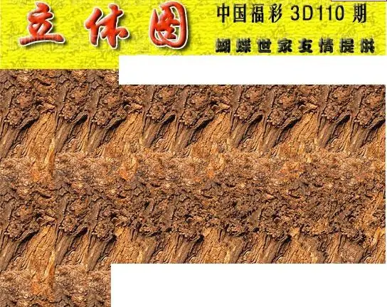 25110期: 3D蝴蝶世家蝴蝶彩图