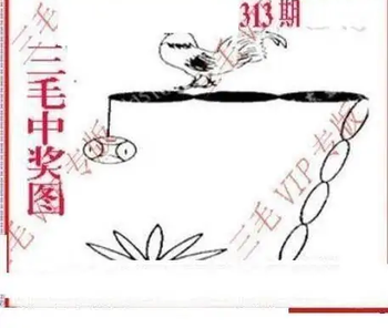 25313期: 三毛3D精品图谜