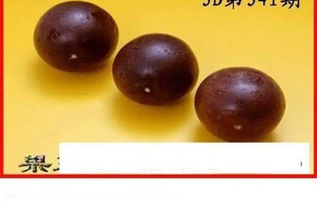 25341期: 白老3D杀码图版