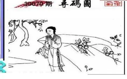 25070期: 三毛3D精品图谜