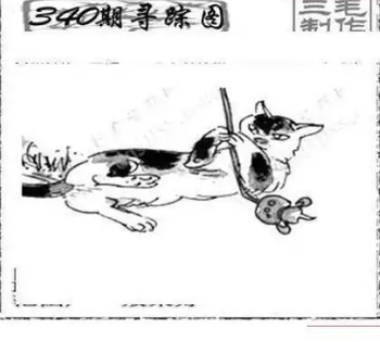 25340期: 三毛3D精品图谜