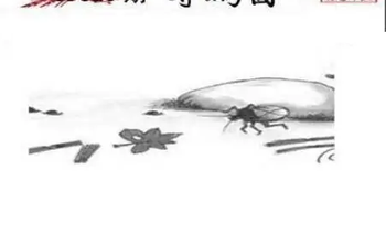 25323期: 三毛3D精品图谜