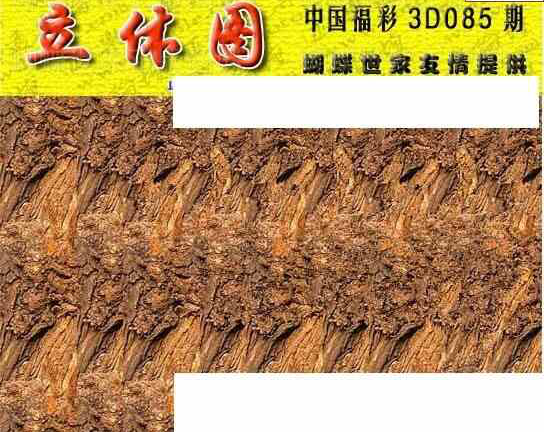 24085期: 3D蝴蝶世家蝴蝶彩图