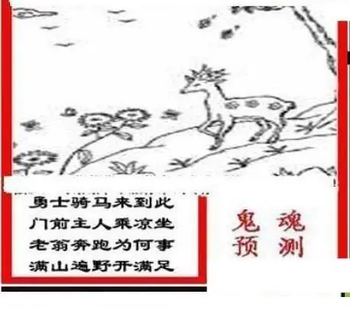 26078期: 三毛3D精品图谜