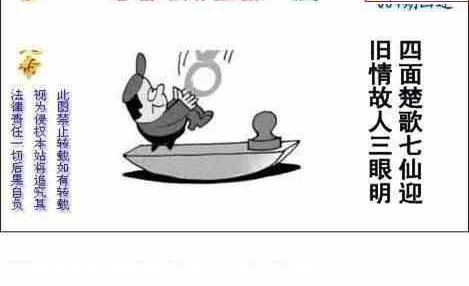 24084期: 白老3D杀码图版